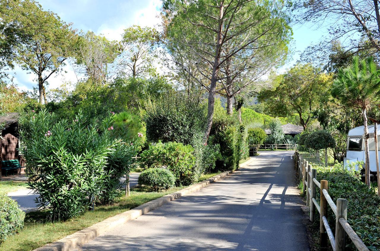 Campeggio Baia Verde Castiglione della Pescaia Exterior foto